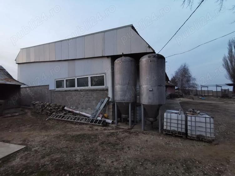 Inchiriere Asociere Crama tradi?ionala + curte mare in Podgoria Vrancea - 5