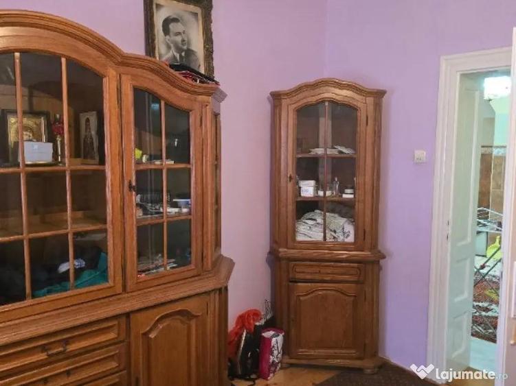 Casa plus anexa parter, Tamaseu central, gaz, sosea , ter 3040 mp - 7