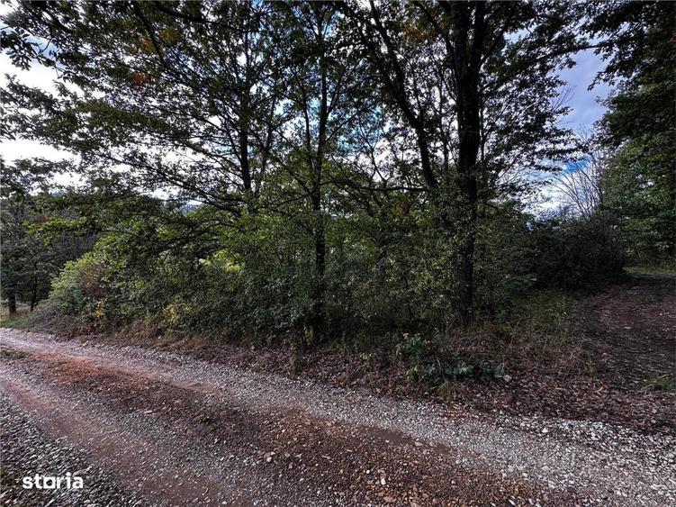 RECO Teren intravilan Zona Vadu Crisului Bihor - 2