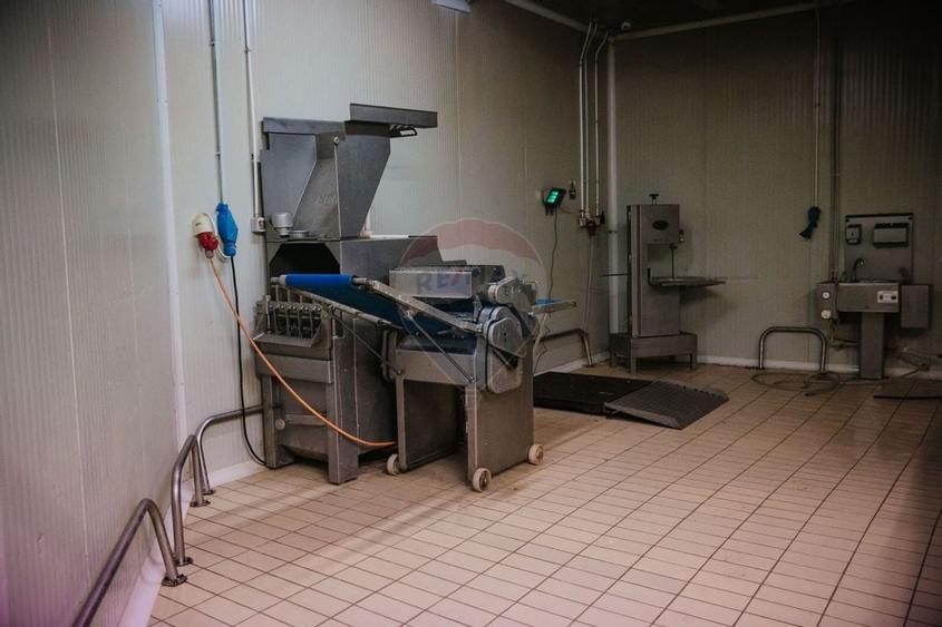 De vânzare AFACERE la cheie--CARMANGERIE--ABATOR--PREPARARE MEZELURI - 10