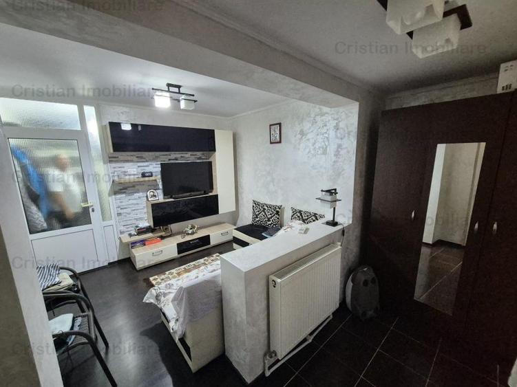 Parter 3 cam 110mp Confort 1 Decomandat cu balcon 14 m  Viziru 3 - 3