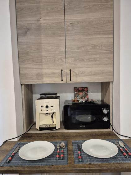 Studio/garsoniera de inchiriat ultracentral - 8