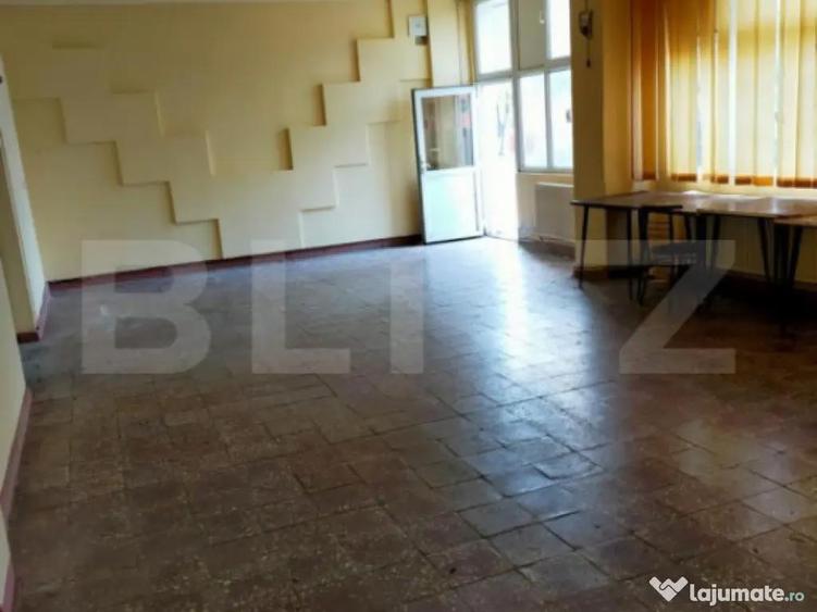 Spatiu comercial de vanzare - Lugoj - 1