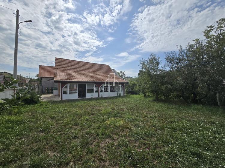 Spatiu comercial de inchiriat, Boiu, Mures - 11