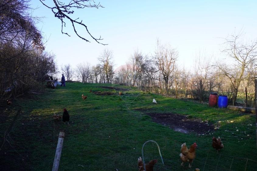 Proprietate cu 2 Case și Teren Generos – Str. Câmpu Negru - 9