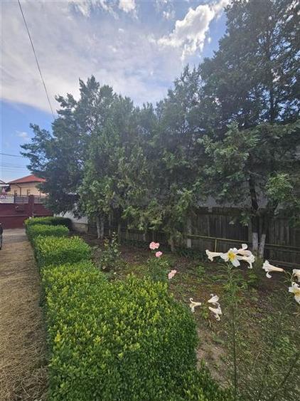 CASA SI TEREN DE VANZARE TG.OCNA IN EXCLUSIVITATE - 2