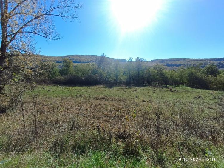 vand teren Vultureni - 3