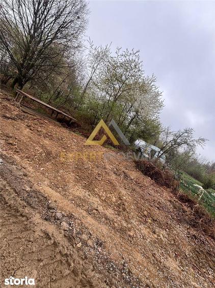 Teren intravilan in spate la Castel Transilvania 1.000mp - 9