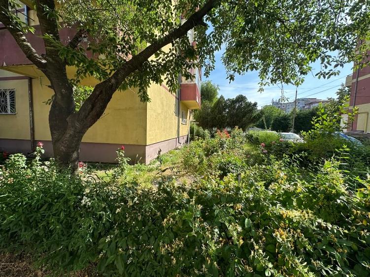 Apartament 3 camere,strada Petre-Liciu - 8