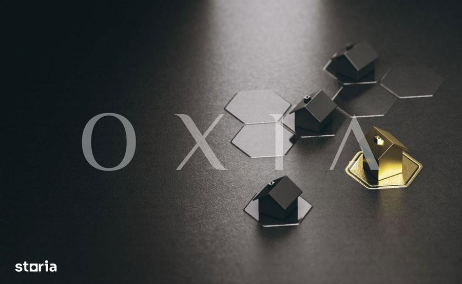 SX683 Mosnita Noua - Drumul Boilor - Drum asfaltat - 2