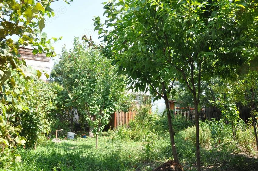 Casa si teren Gheorghe Sion - 8