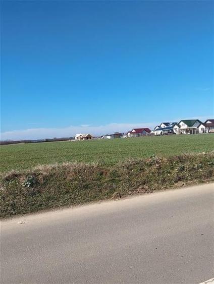 Teren in Ciolpani oportunitate investitie, pret bun - 1