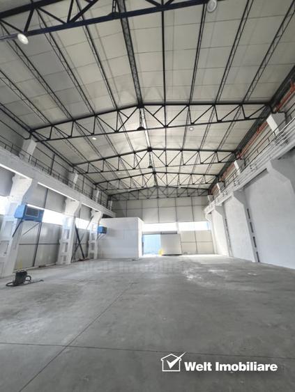 Hala depozitare sau productie 570mp, 2 rampe, Someseni - Aeroport - 4
