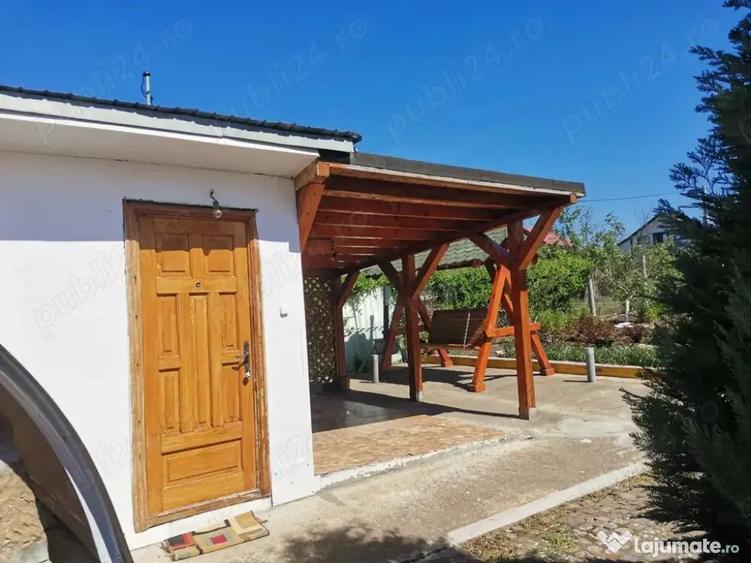 Teren de vanzare cu bucatarie si magazii 1128mp - 6