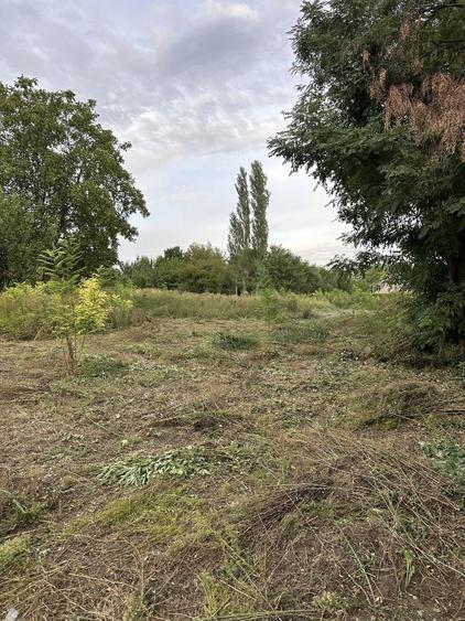 Teren intravilan 4310m2 Loc. Munteni deschidere 29m la E581 utilitati - 3