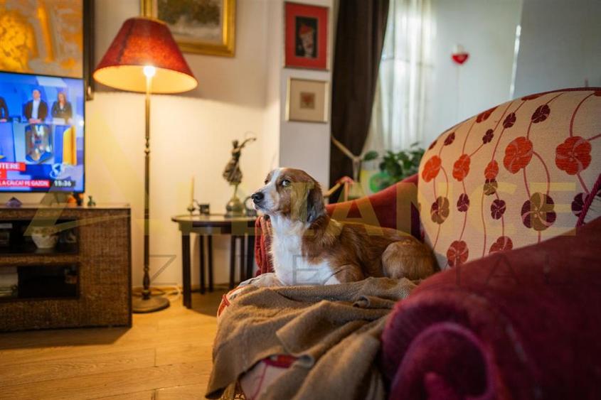 Proprietate Exclusivista cu Deschidere Spectaculoasa la Apa – Domeniu Privat cu - 3