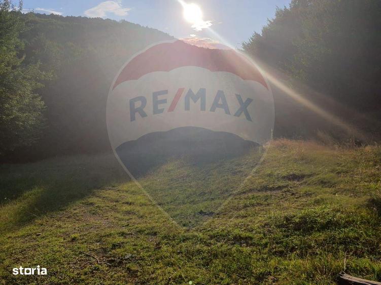 Poiana pentru cabana de vanzare intravilan Coas - 2