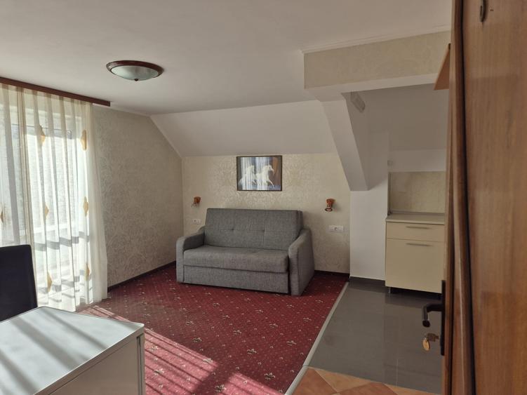 Vila Bran 2 Garsoniere Parter, 1 Apartament I Ultima din 9 New 2026 - 7