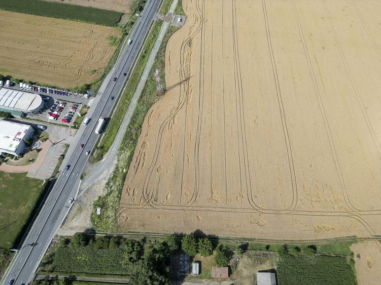 Teren 7653mp cu PUZ aprobat DN Arad Oradea - 8