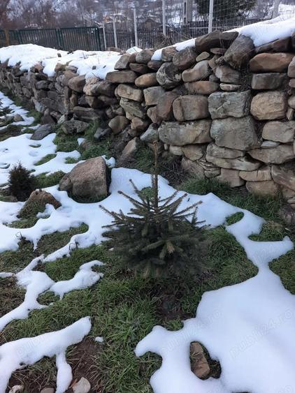 Casa de vacanta schimb - 6