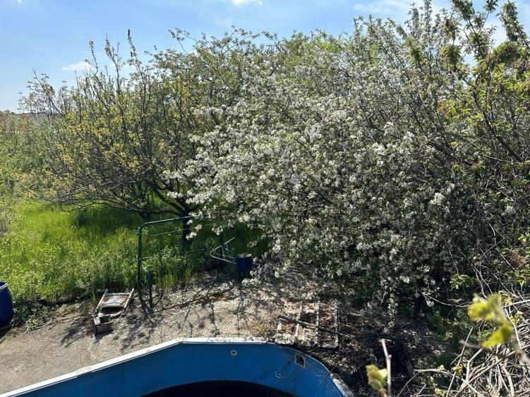 Casa-langa studiourile Buftea, 2 constructii, curte cu pomi, 2300mp, langa lac - 40