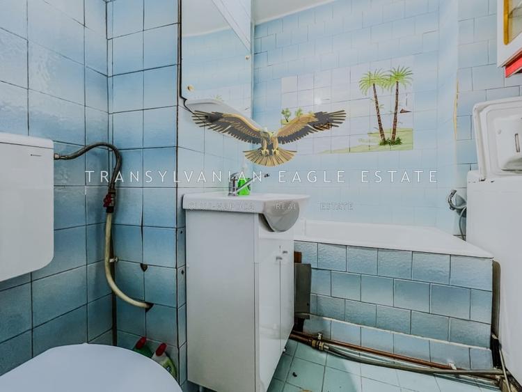 Locuinta decomandata cu 2 camere|situata pe A. Vlahuta|Grigo - 10