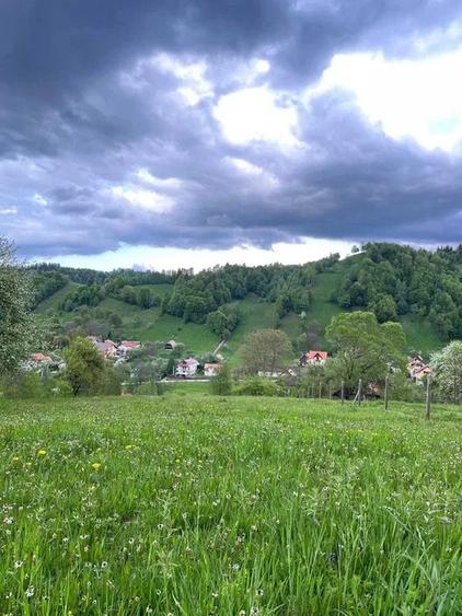 PROPRIETAR - 3274 mp intravilan Simon (BRAN) - 3