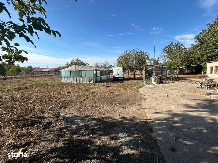 Vand casa cu teren 3000m2 - 1