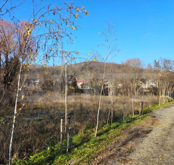 Teren intravilan 738 mp, zona Viforata, Comision 0 - 14