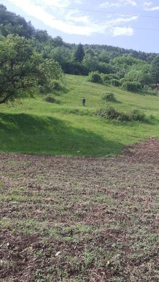 Teren de vanzare - 2