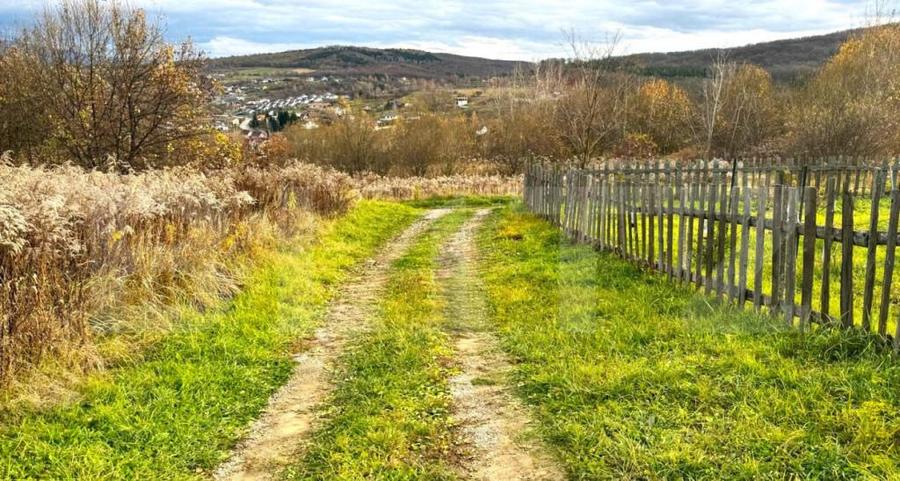 Teren extravilan de vanzare, 2400 mp, zona Valea Ghinzii - 3