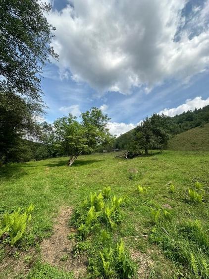 Teren 2 hectare pe Valea Ariesului, zona Scarita-Belioara, pret oportun 2 Eur/mp - 17