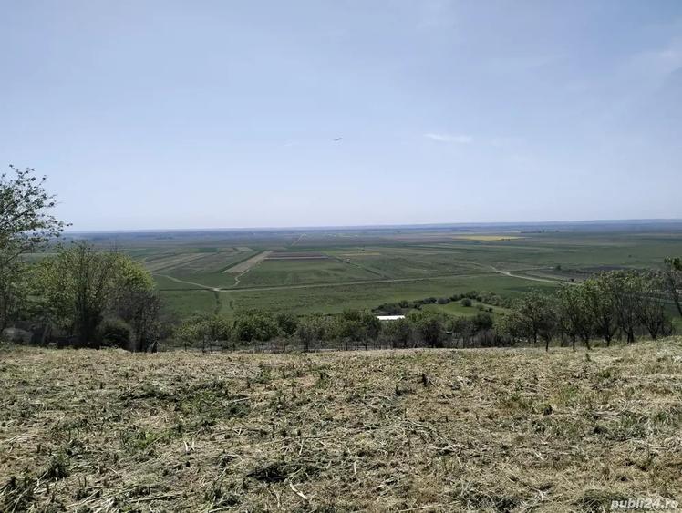 Casa de vanzare Baneasa - 3