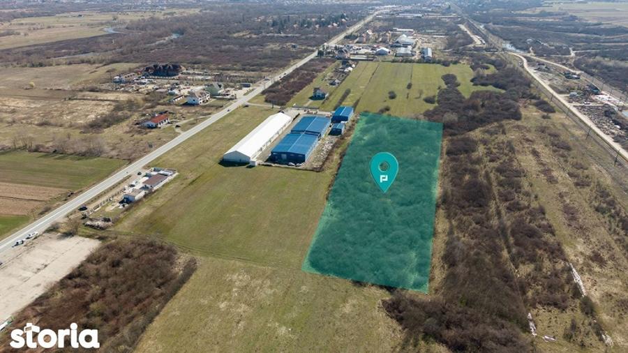 Teren extravilan de 7.000 mp langa Paltini? - 16