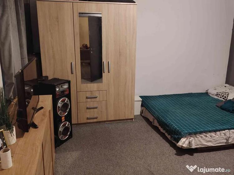 Casa din caramida de vanzare - 9