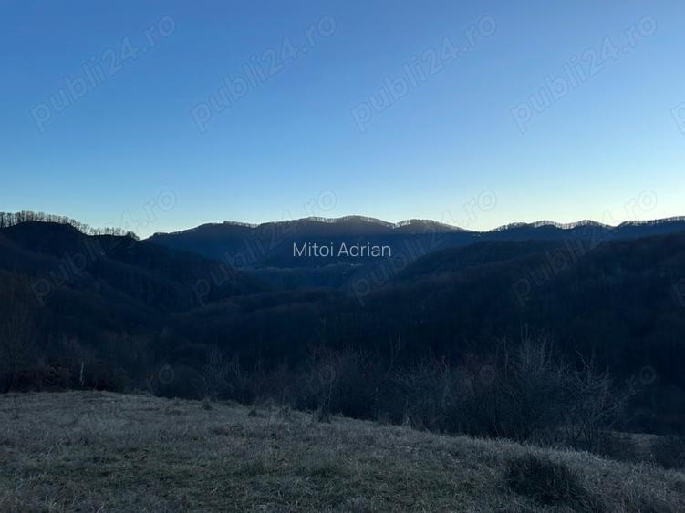 Teren 4000mp Olane?ti Gurguiata Schitul Bradul