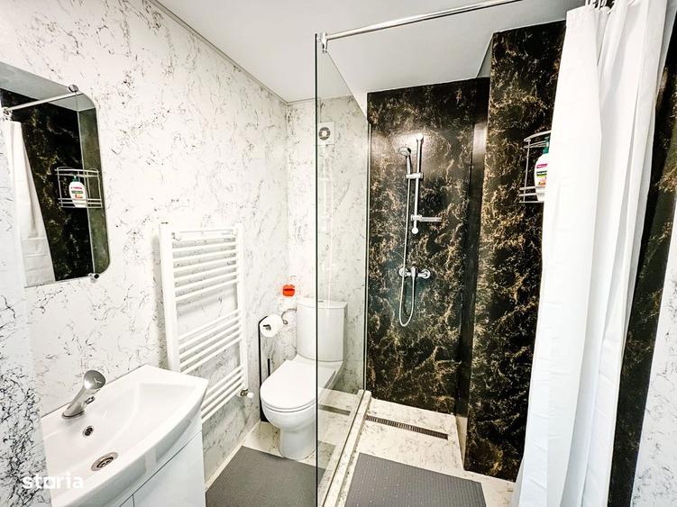 Casa de vacan?a Some?ul Rece Preluare afacere Zona de munte - 7