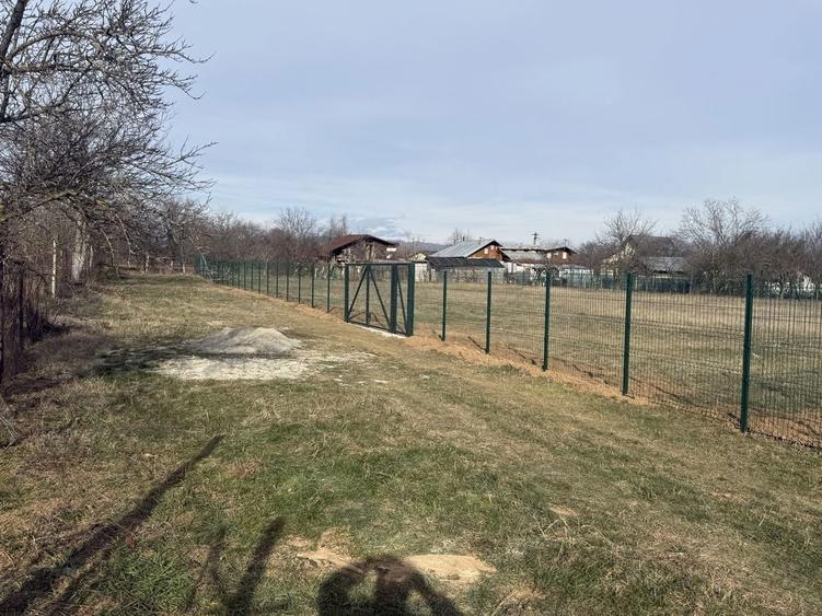 Teren intravilan Baicoi (Tufeni) - 5