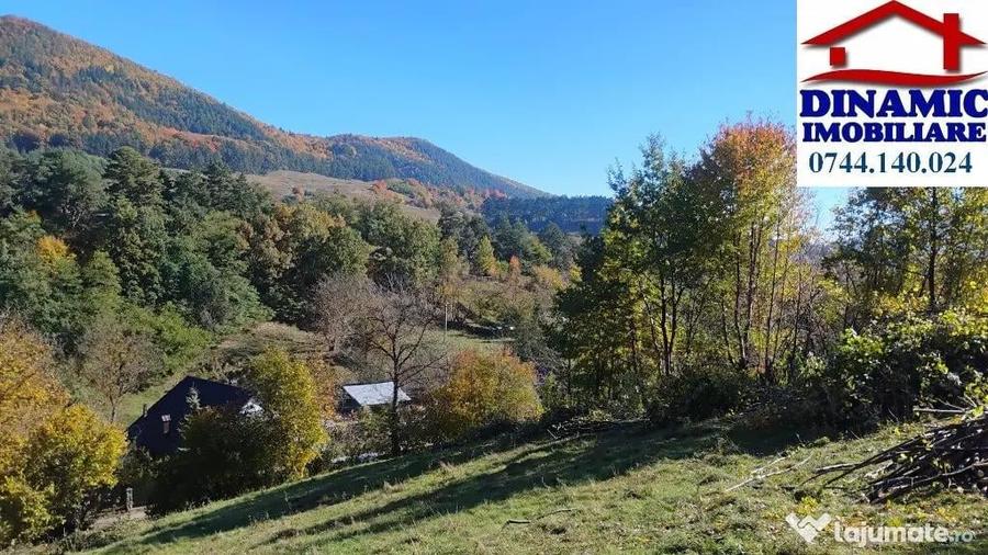 3600 mp teren intravilan, sat Bistrita, 12 Euro/mp - 5