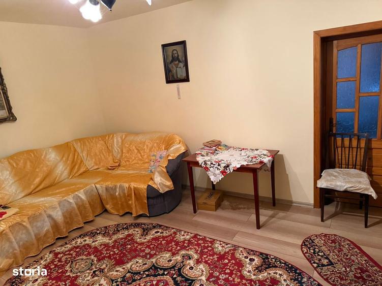 Exclusivitate-Casa 5 camere ?i teren 3196 mp - 9
