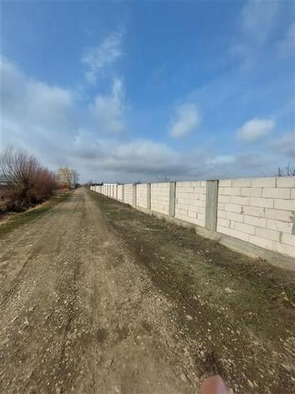 Teren intravilan de vanzare 28094 mp pentru investitii Bizighesti - 3