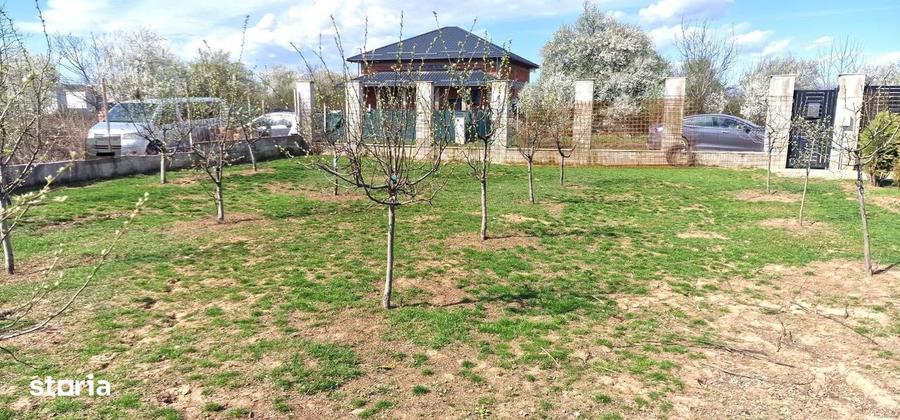 0%comision - Teren Tancabesti ingradit - 5