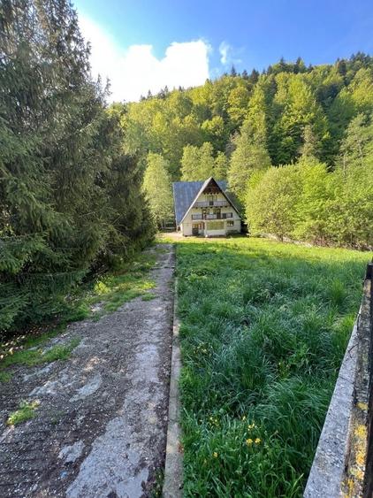 Casa cu teren 2000mp zona Moroieni, pentru pensiune, invenstitie - 3