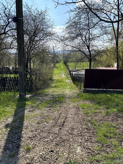 Teren intravilan 1600 mp! - 4