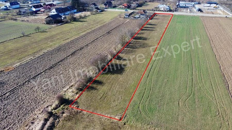 Teren de vanzare in comuna Baicule?ti, jude? Arge?. - 2