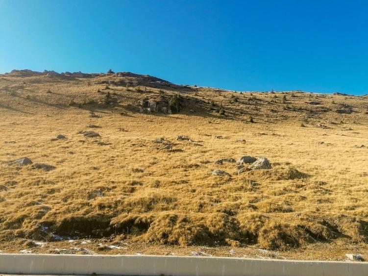 Platoul Bucegi zona Blana 2500mp intravilan construibil - TransBucegi - 7