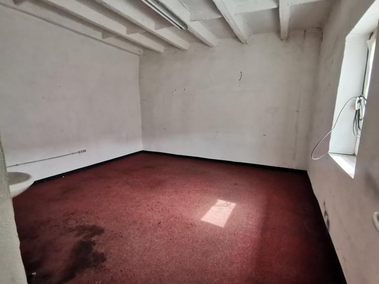 Iosefin Depozit 175 mp 875 euro +TVA - 2