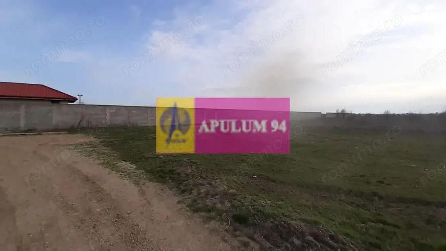 Parcela langa padure in Ilfov - 7