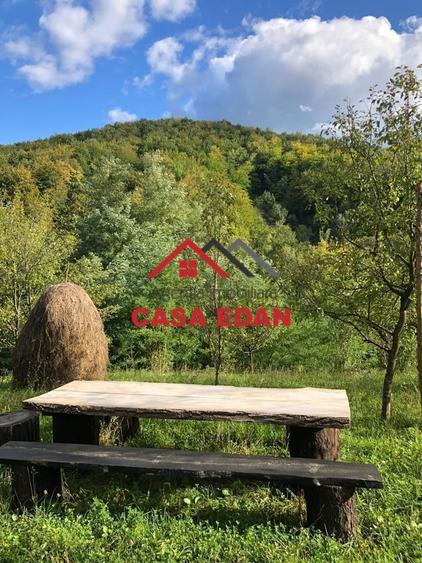 Teren extravilan in Brebu(Pietriceaua)--9104mp--50.000e - 6