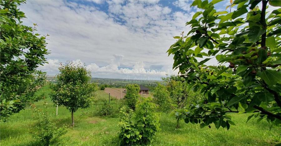 Teren intravilan - 2400 mp - 3 cabane din lemn - Lisaura